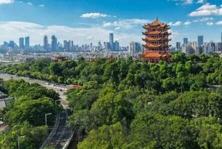 91麻豆香蕉国家在线观看-乐趣不设限，数字化时代的娱乐多元化探索