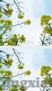 麻豆传媒app下载破解版-辣眼睛与迷失，麻豆传媒App下载破解版背后的风险与思考