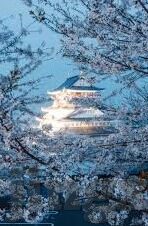 欧美日韩AV二区-欧美日韩AV二区，文化差异与成人娱乐的全球视角