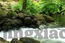 糖心tv官网-解锁流媒体新视觉，探索糖心TV官网的魅力无限